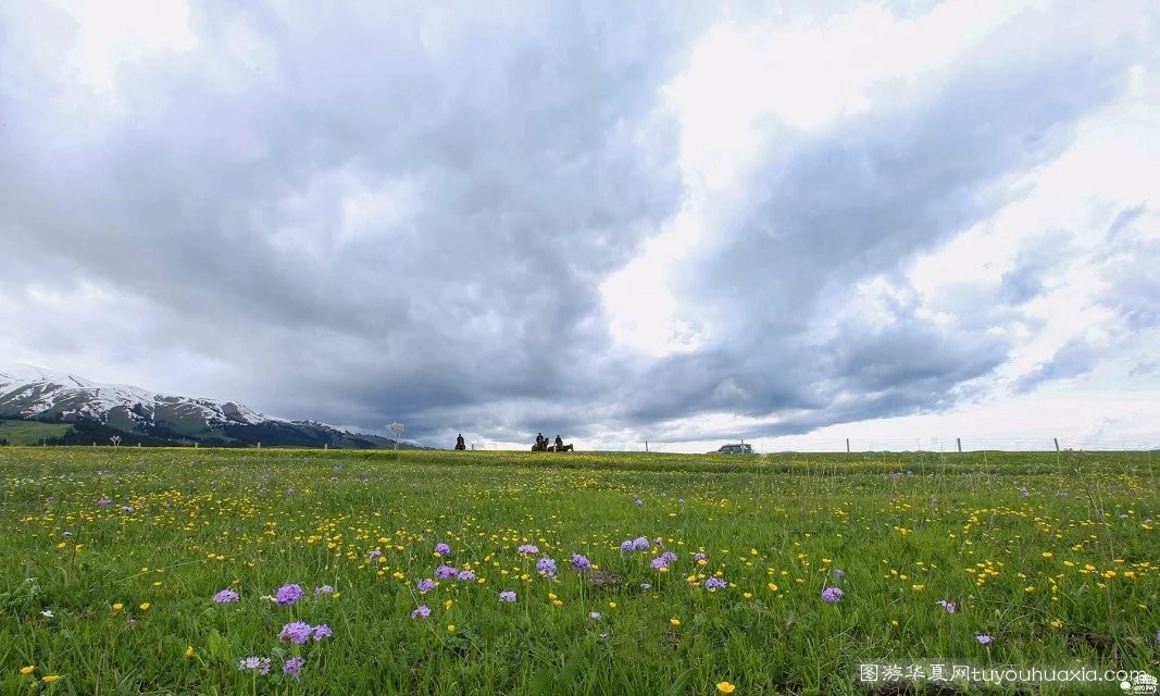 14张照片那拉提草原风景区 (美丽的那拉提草原真实图片)
