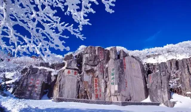 走完这186块钱，包你女友/老婆对你死心塌地！