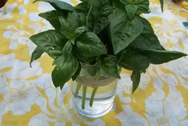 这才是吃货吃饭的正确方法,冰箱储存食物的正确方法科普