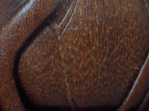 犀角简介,犀角讲解