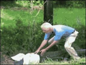 死神来了大结局免费看,死神来了幸存人结局