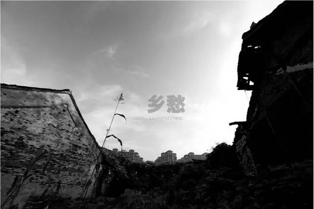 为什么平潭旅游的人少,平潭最新人才计划