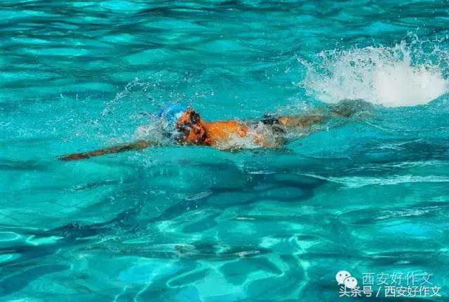 我是游泳小健将作文,描写游泳健将的作文