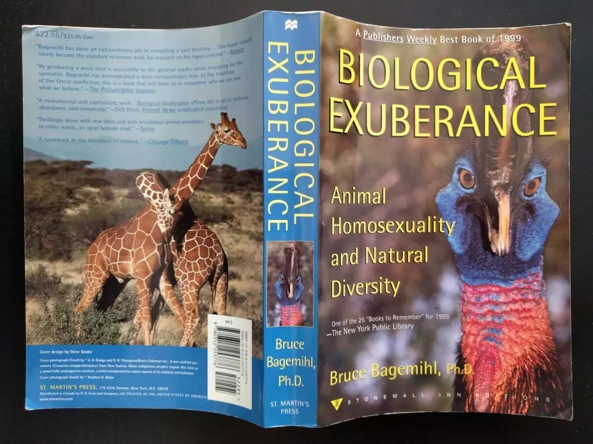 几个细节判断你的宠物是否爱你,如果你的宠物有残疾还会爱它吗