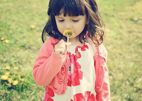 金鸡宝宝起名,2017年金鸡报喜