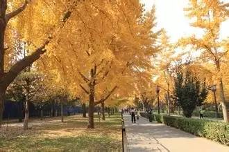 一个牛皮癣女孩的自述,银屑病女子治病