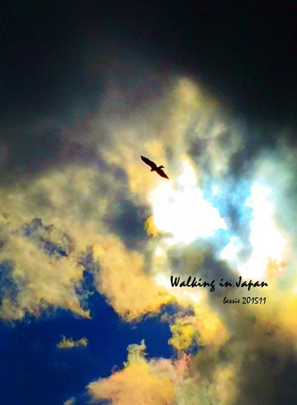 霓虹国秋日暴走之旅,漫步日本旅行游记