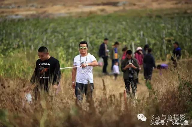 最好的旅游就是陪伴,一场美好的旅行是爱的陪伴