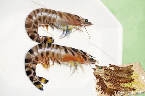 舌尖上的龙虾,品尝正宗龙虾美食的感受