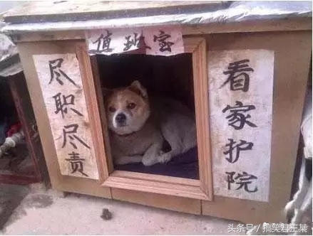 内马尔搞笑文字图片,内马尔搞笑素材视频高清