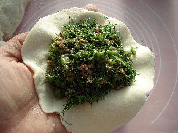 茴香馅儿的饺子的做法,茴香饺子有药味儿
