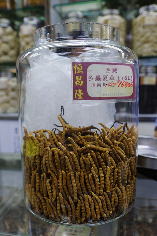 在香港哪里可以买到正品黄金首饰,在香港哪里可以买到正品茅台