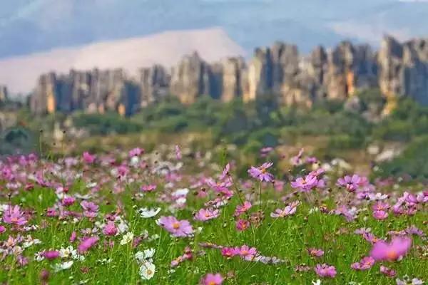 沪昆高铁沿线有什么著名旅游景点,好消息昭通高铁