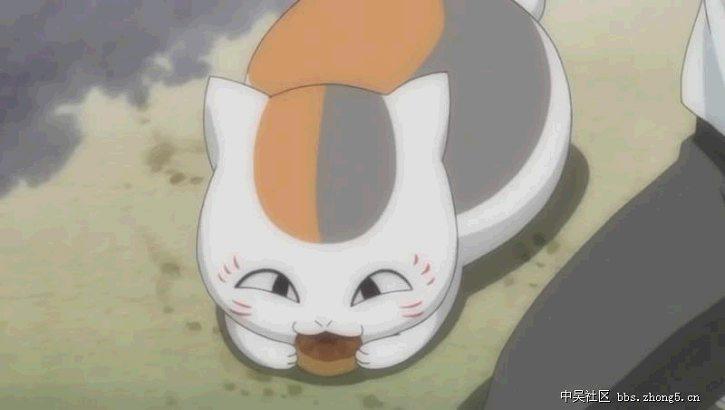 动漫卡通猫的名字,可爱动漫猫图片