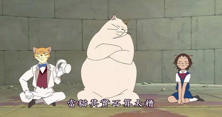 动漫卡通猫的名字,可爱动漫猫图片