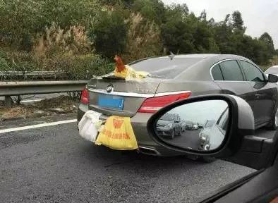 日记这就是我200字左右初中,关于新年的日记100字左右