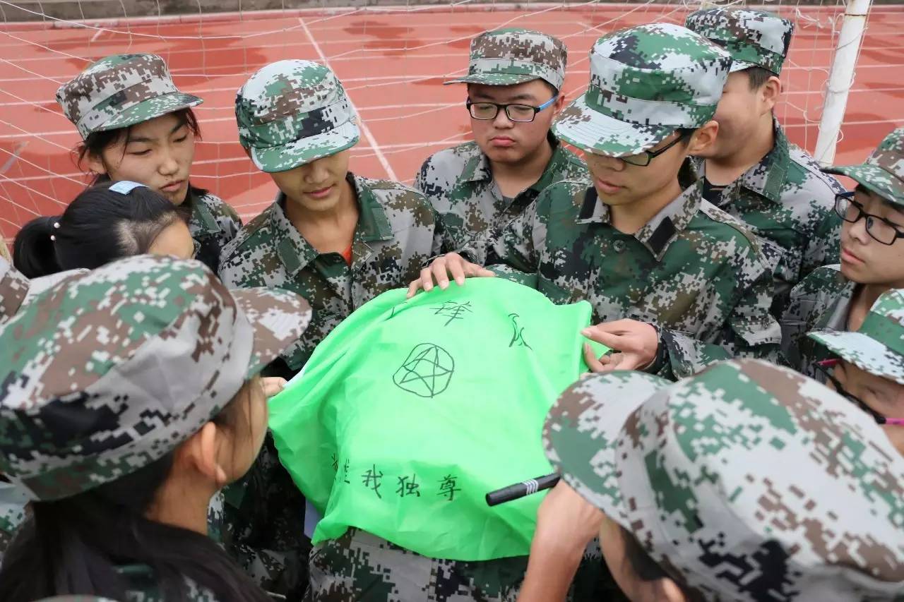 校园寻梦之旅,学校芳华十载逐梦未来