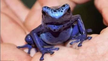 海淘族11.11不学国检法规吃大亏