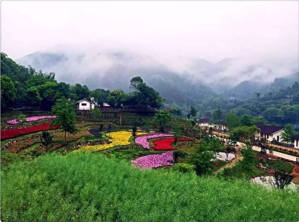 赣州市美景,赣州景致