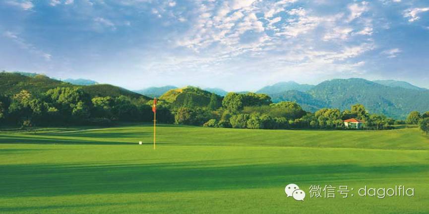 高尔夫优惠团购99元直播,国际高尔夫订场