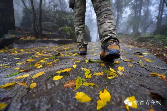 影像张家界季节篇：深秋的印记