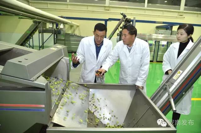 最美橄榄季，小武带您探访“特级初榨”是如何炼成的~