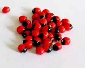 海淘族11.11不学国检法规吃大亏