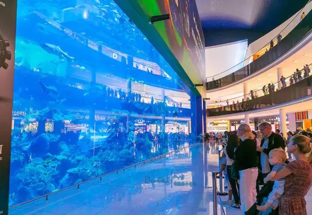 迪拜旅游5天详细攻略,迪拜旅游攻略自由行攻略