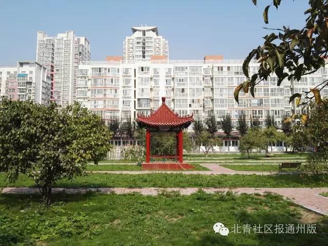 首师大附中通州校区实验班,采访师大附中
