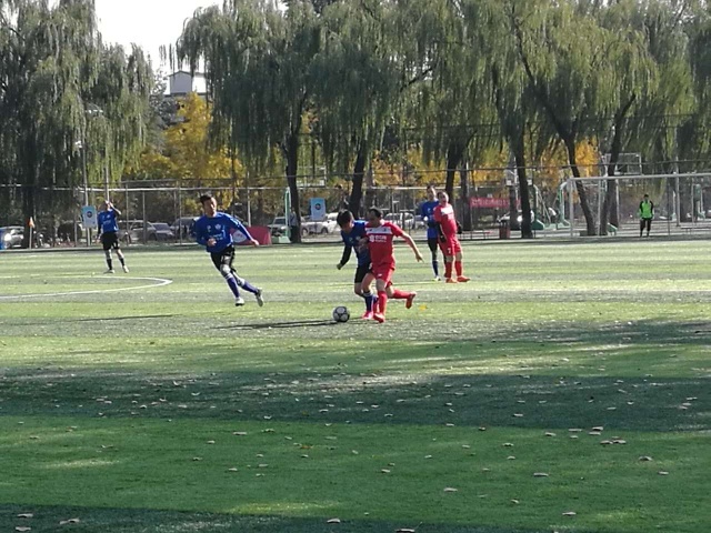 我眼中的足球世界杯,我眼中的足球世界