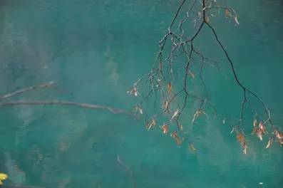 汉简怎么写才能好,汉简怎么写简单又漂亮