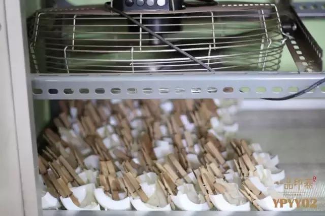 鲜炖燕窝七年老店,新鲜现炖燕窝店铺