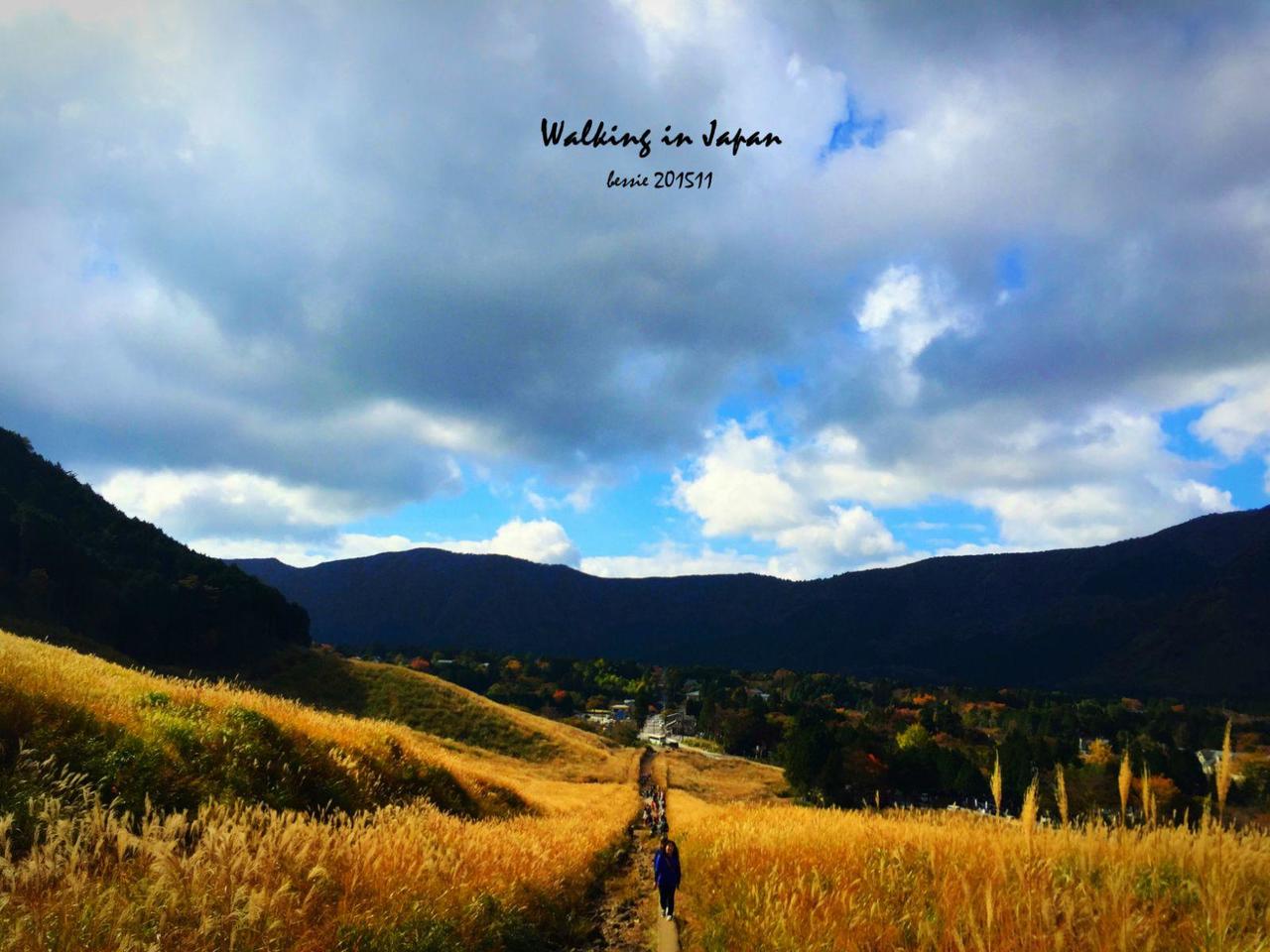 霓虹国秋日暴走之旅,漫步日本旅行游记