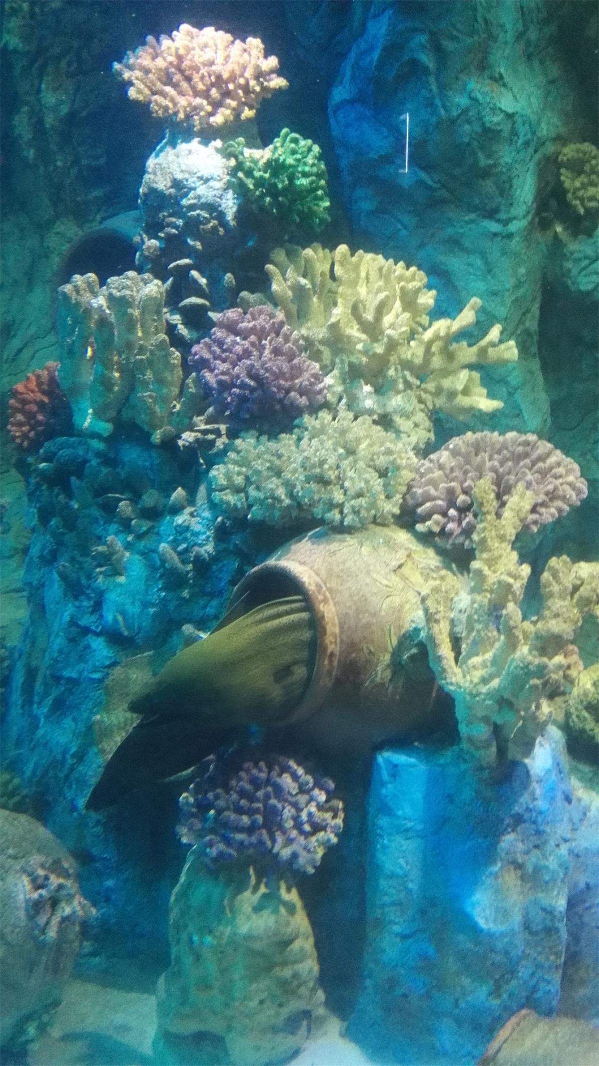 5天4夜玩转越南芽庄,越南芽庄90天