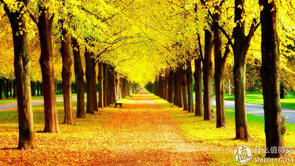 整体均衡,屏幕优秀!这样的IPS硬屏笔记本值不值得入手?