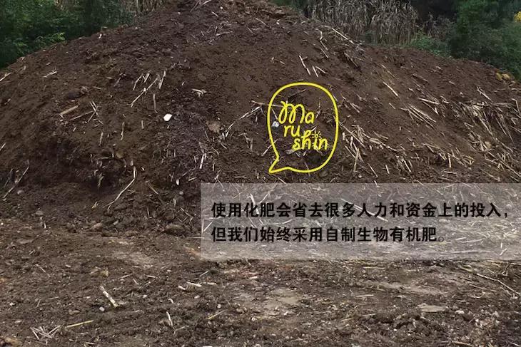 农心|一起向匠人精神致敬!