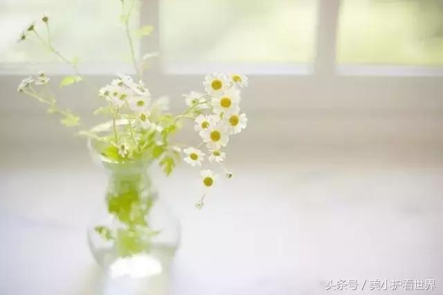 淘宝支付密码和支付宝一样吗,淘宝怎么没有我的支付宝