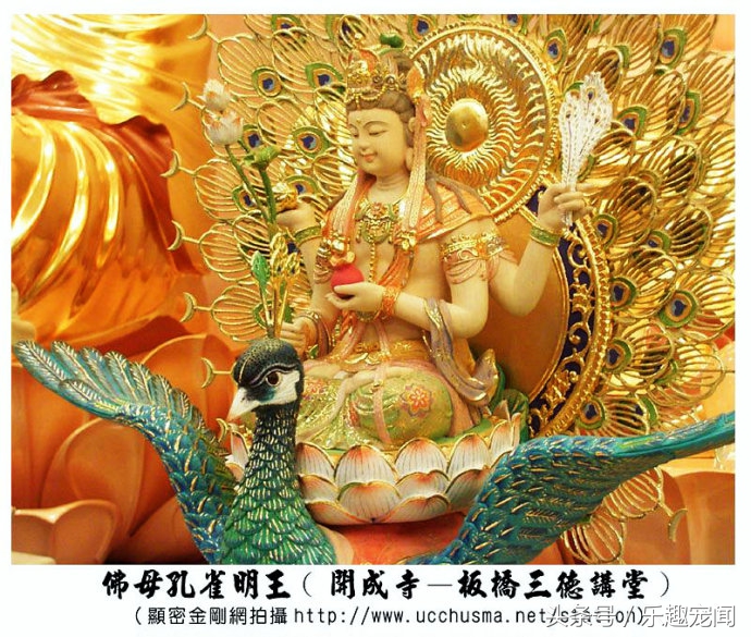 孔雀毛寓意什么意思,孔雀毛的寓意及象征风水