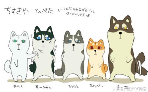 推荐｜让我们跟川普总统的千金学习英语吧！