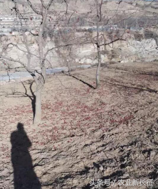 寰█澶т箟鍏ㄦ枃,寰█澶т箟瀹屾暣瑙嗛