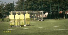 罗纳德科曼罚球技巧,足球中场任意球的技巧