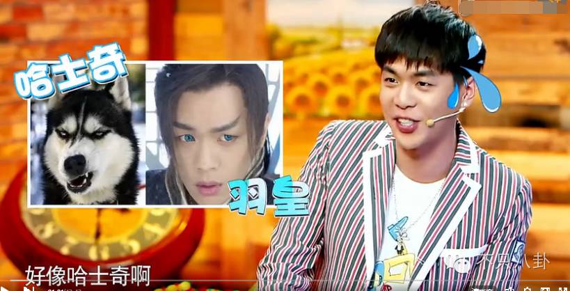 张若昀演的唐山海是什么电视剧,张若昀唐山海美照