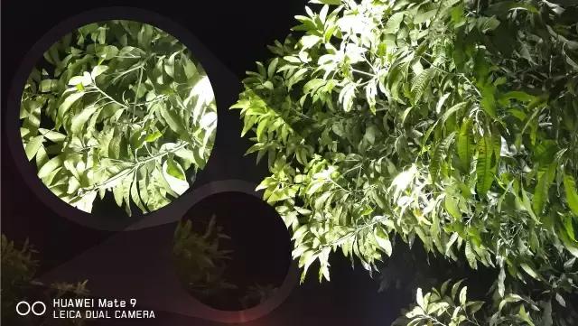 mate9发布价格,mate9还值多少钱