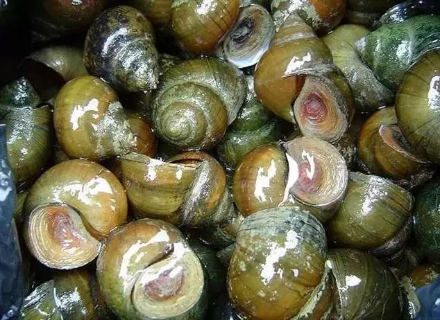 东北快消失了的一些农村美食,东北乡下消失的美食