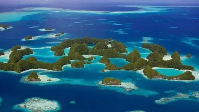 帕劳群岛旅游攻略大全,超强整理去帕劳不得不看的攻略