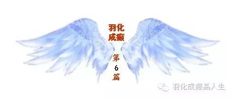 她们一生坚守，你们一夜喧哗