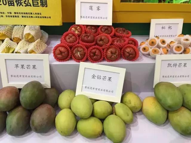 四川西博会老博会,四川西博会