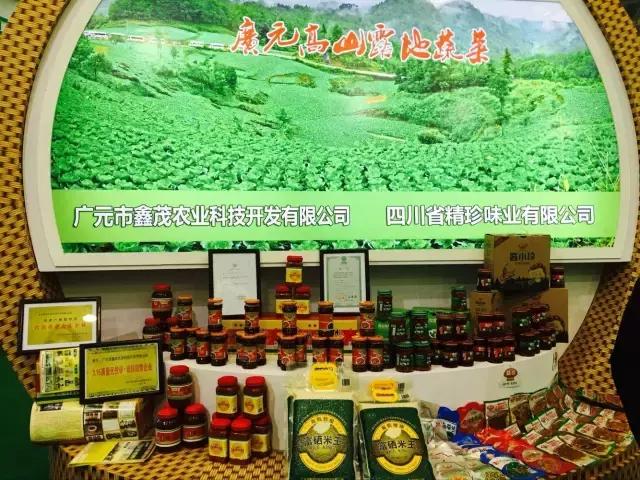 四川西博会老博会,四川西博会