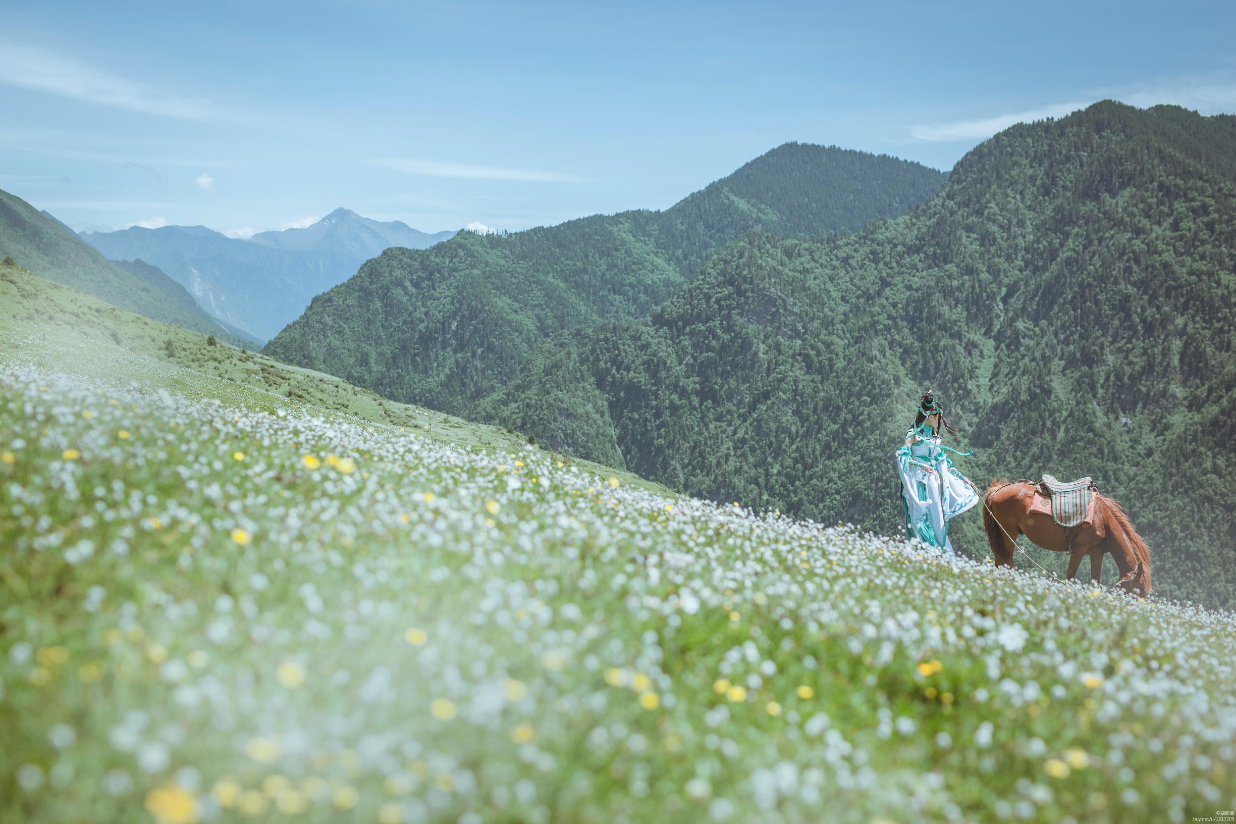 剑网三长歌平沙藏剑,剑网三长歌青霄飞羽