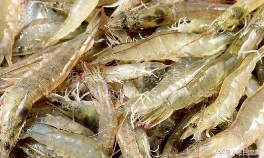 舌尖上的龙虾,品尝正宗龙虾美食的感受